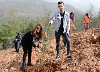 Alanya Kent Konseyi tarafından geçen yıl Sapadere Mahallesi’nde çıkan orman yangını sonrasında zarar gören alanda ağaç dikim etkinliği gerçekleştirildi.